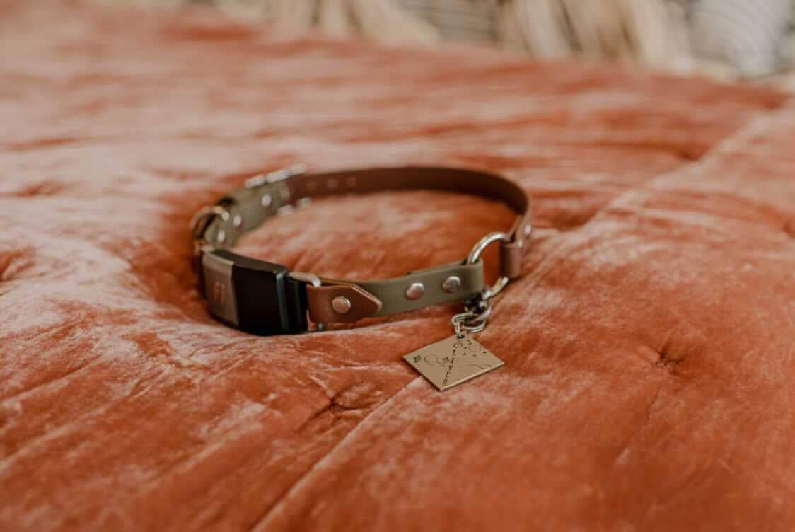 Fi Compatible Collar: 3/4"