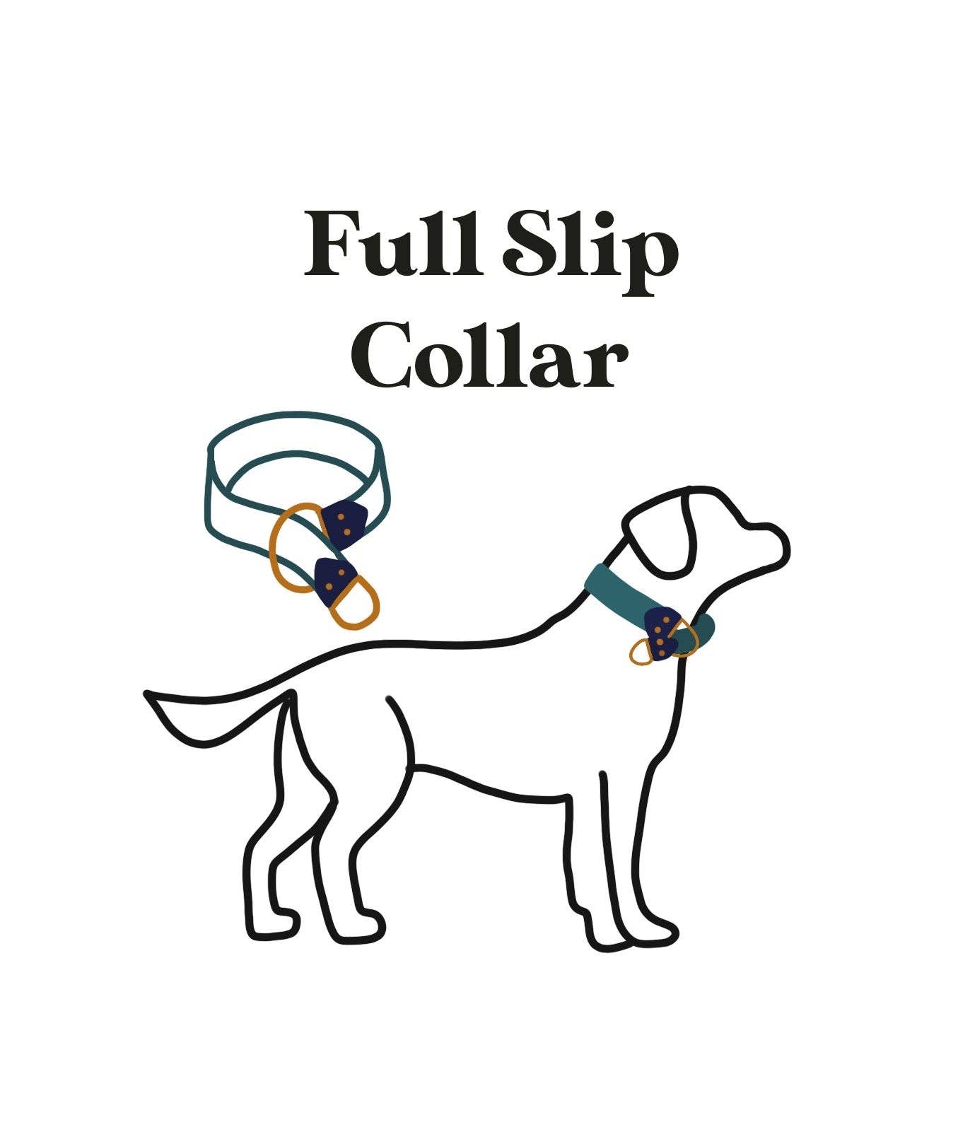 Fi Compatible Collar: 3/4"