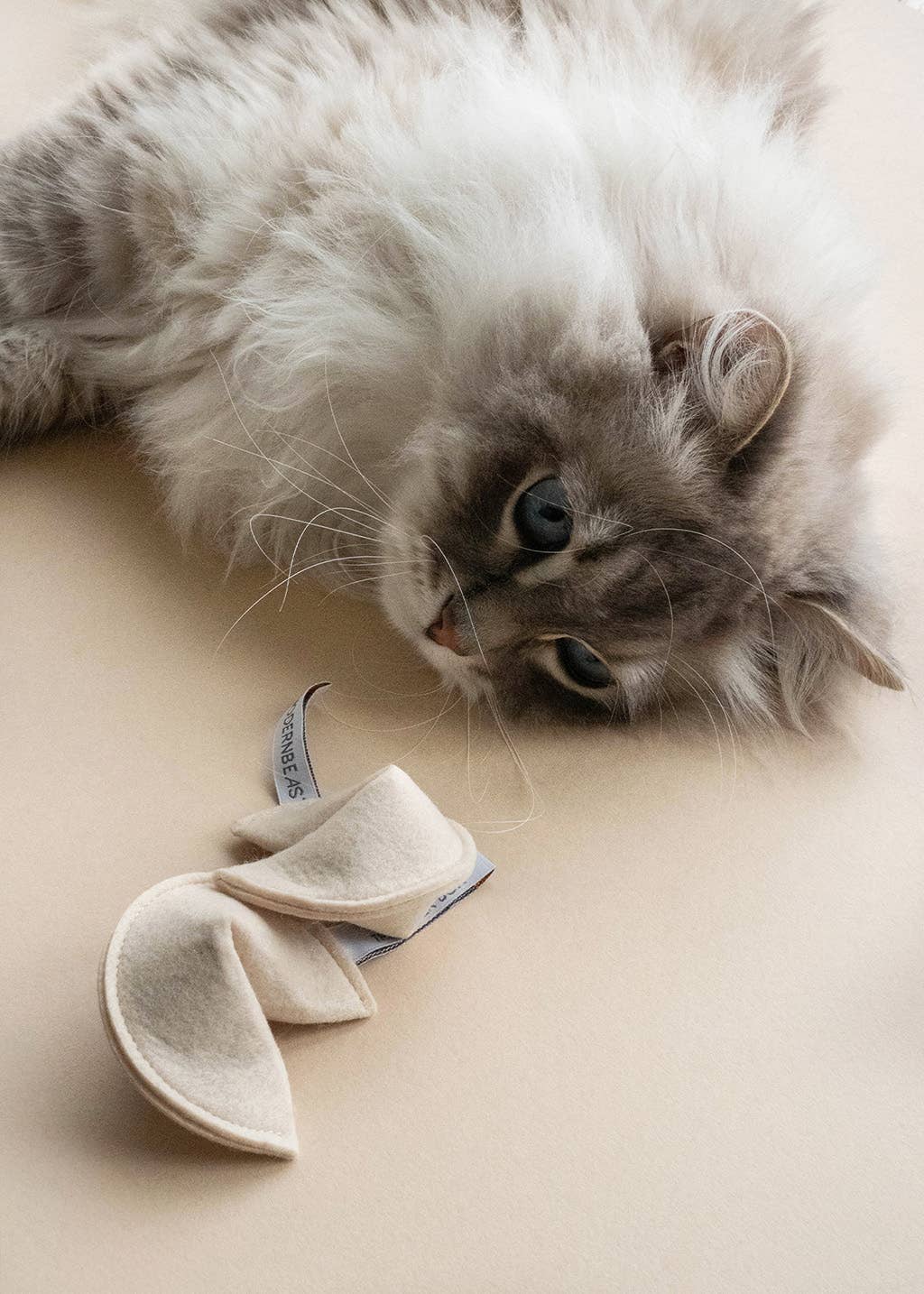 KITTY FORTUNE COOKIE Organic Catnip Cat Toy: You Will Miss The Litterbox