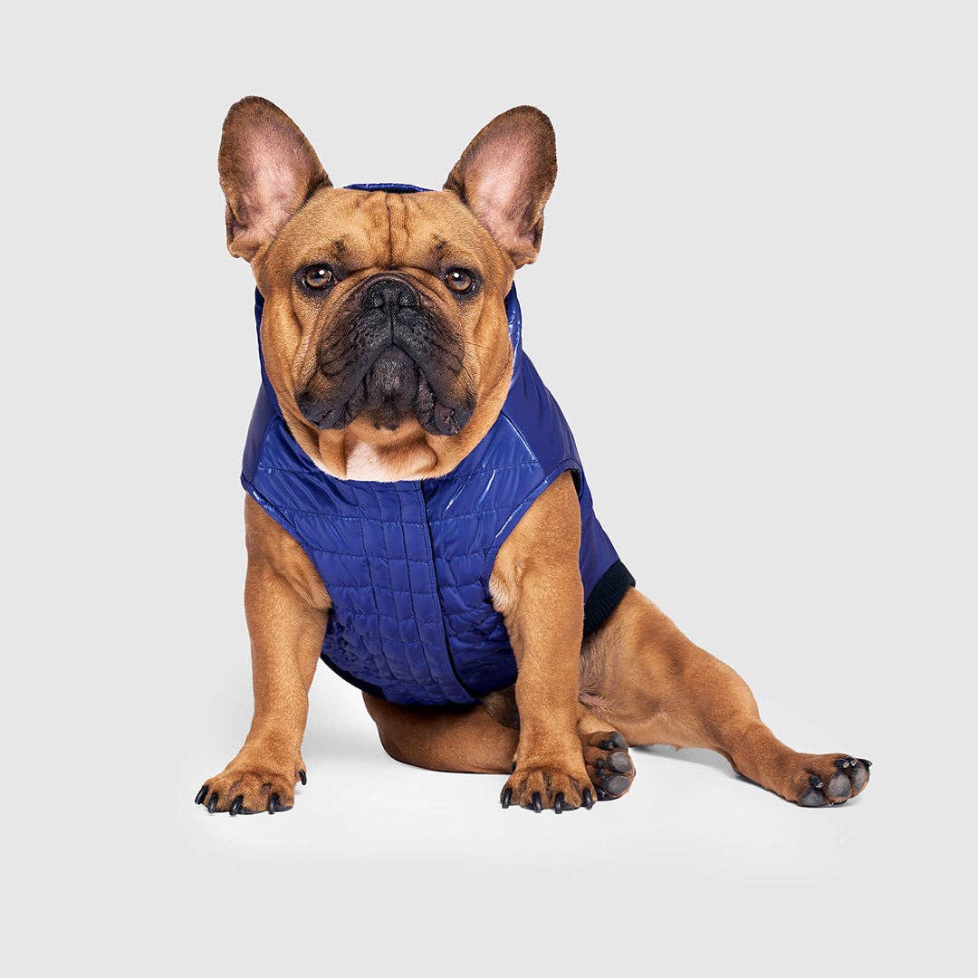 Shiny Puffer Vest- Dog Coat: Iridescent