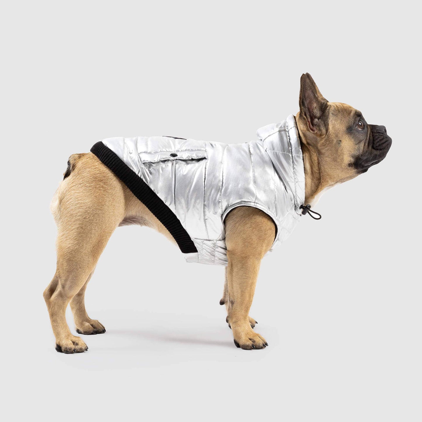 Shiny Puffer Vest- Dog Coat: Iridescent