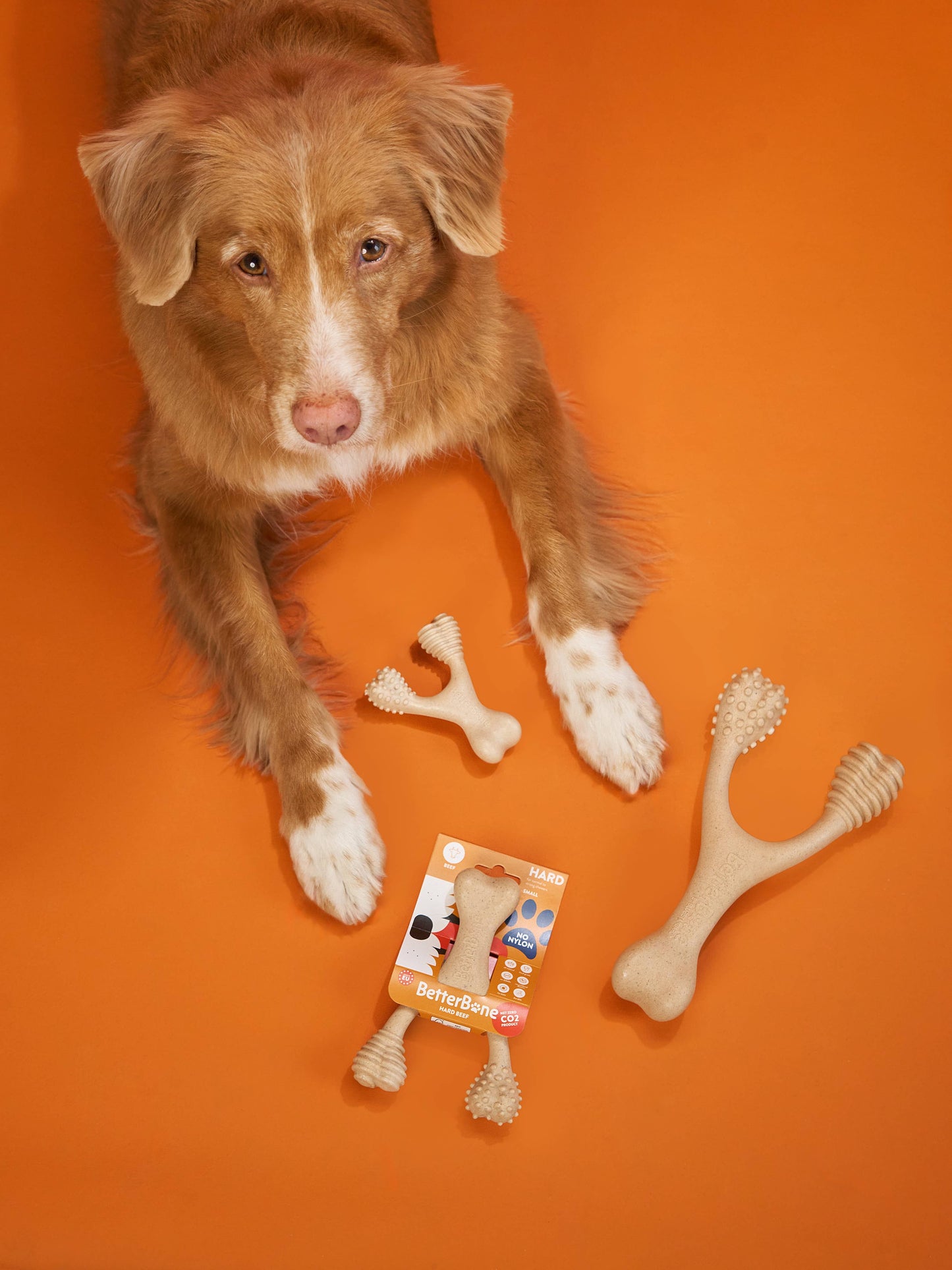 BetterBone HARD -Durable, All-Natural, No Nylon, Sustainable: Natural Venison / SMALL