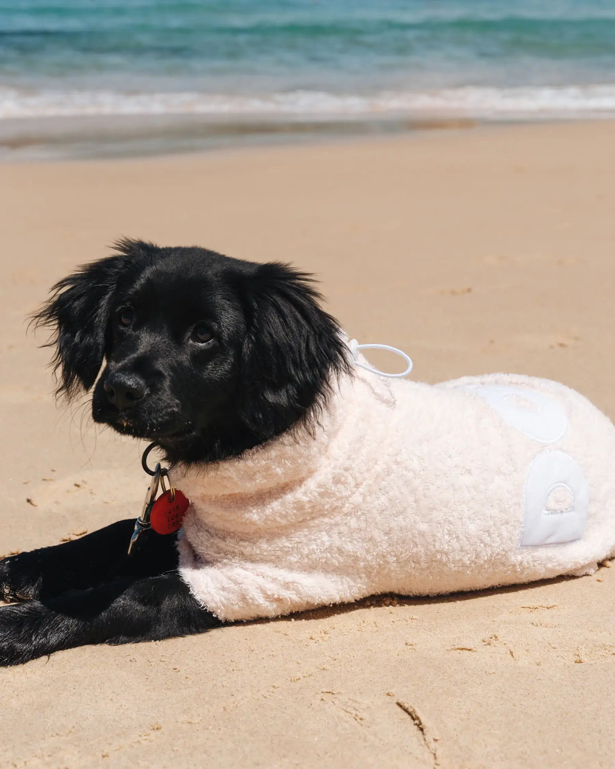 DOG Poncho: Blush