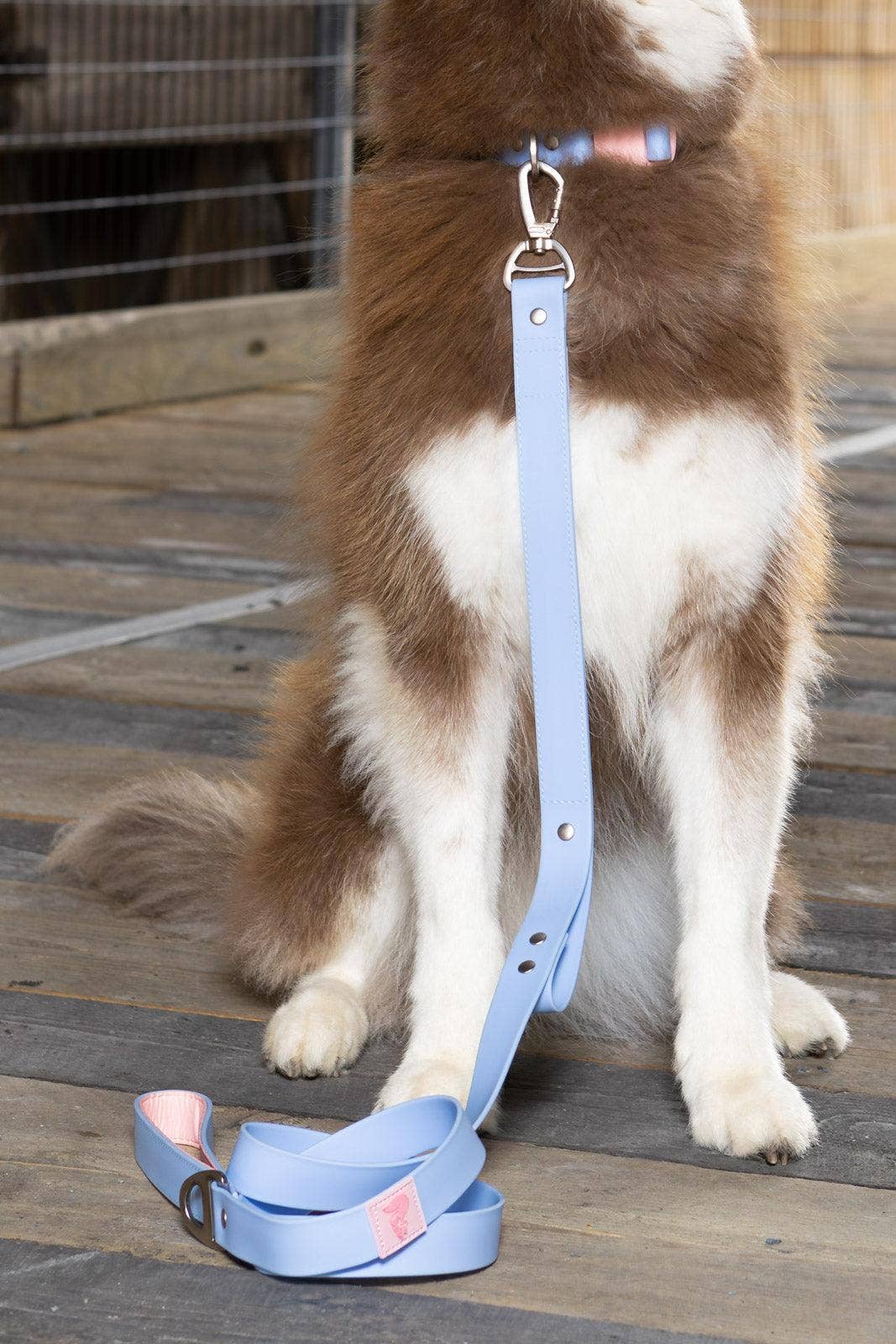 Blue Sky Orchid Waterproof Leash: Periwinkle / Light Pink