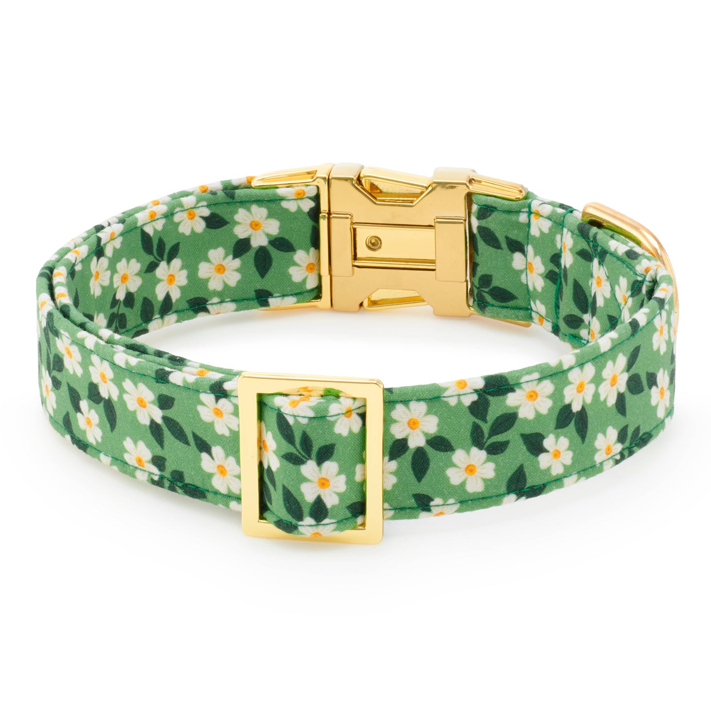 Dainty Daisies Dog Collar