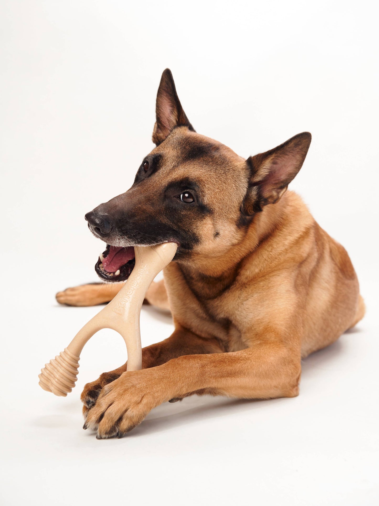 BetterBone Beef Flavored Large Size - Hard Density