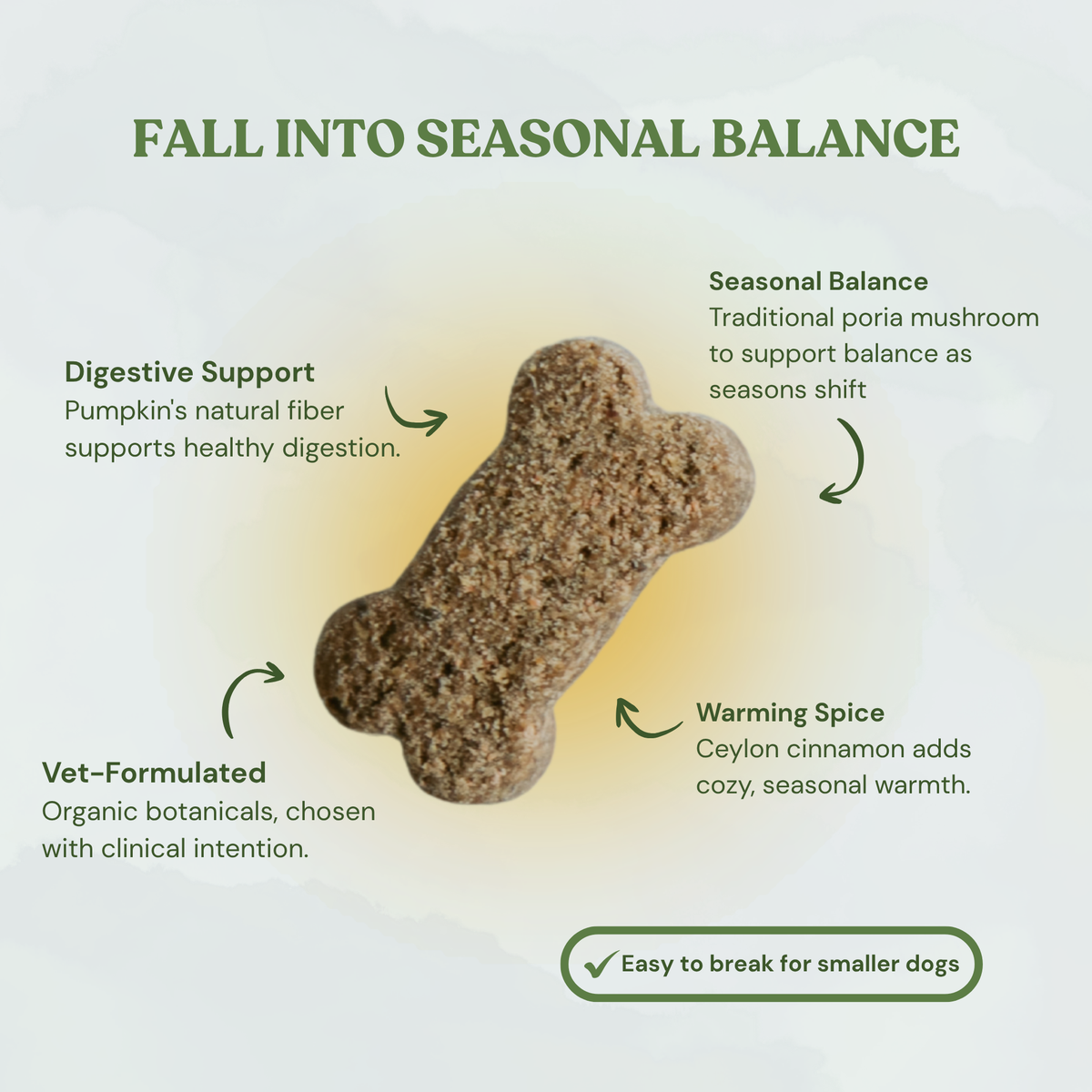 Pumpkin Spice Dog Treats