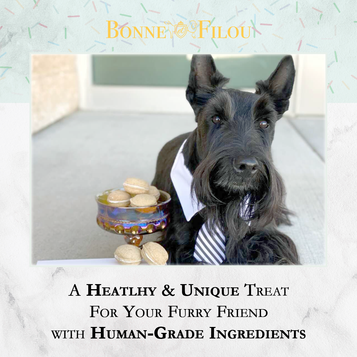 Bonne et Filou Dog Macarons | Peanut Butter