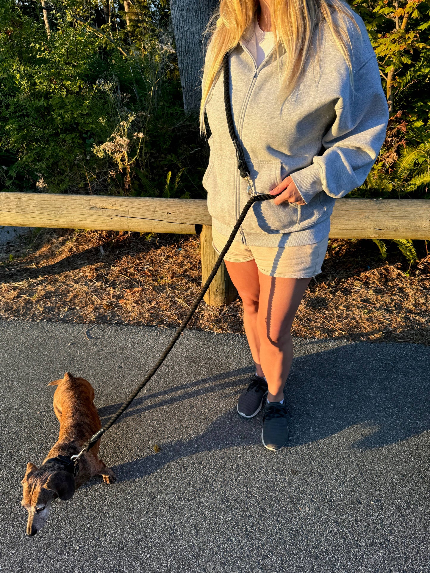 Hands Free Cotton Rope Dog Leash