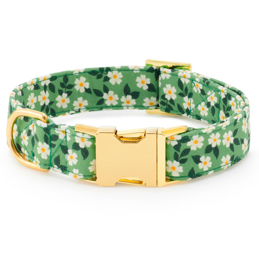 Dainty Daisies Dog Collar