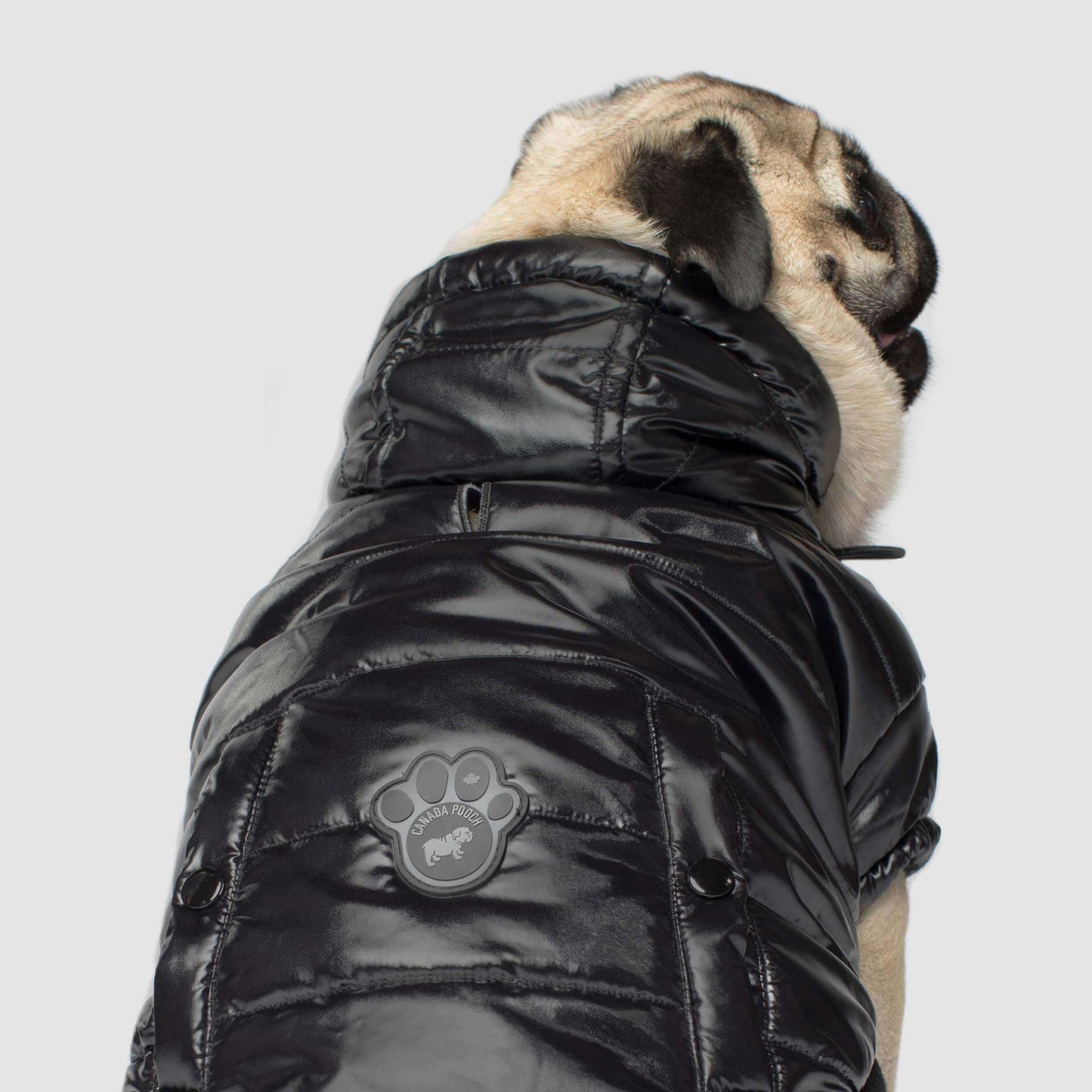 Shiny Puffer Vest- Dog Coat: Iridescent