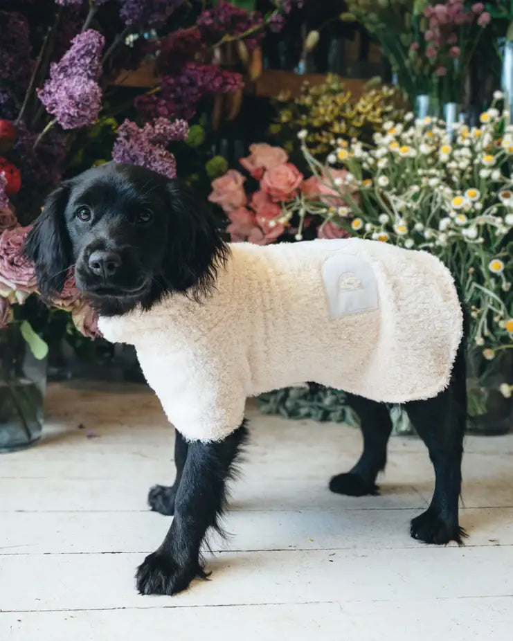 DOG Poncho: Grey