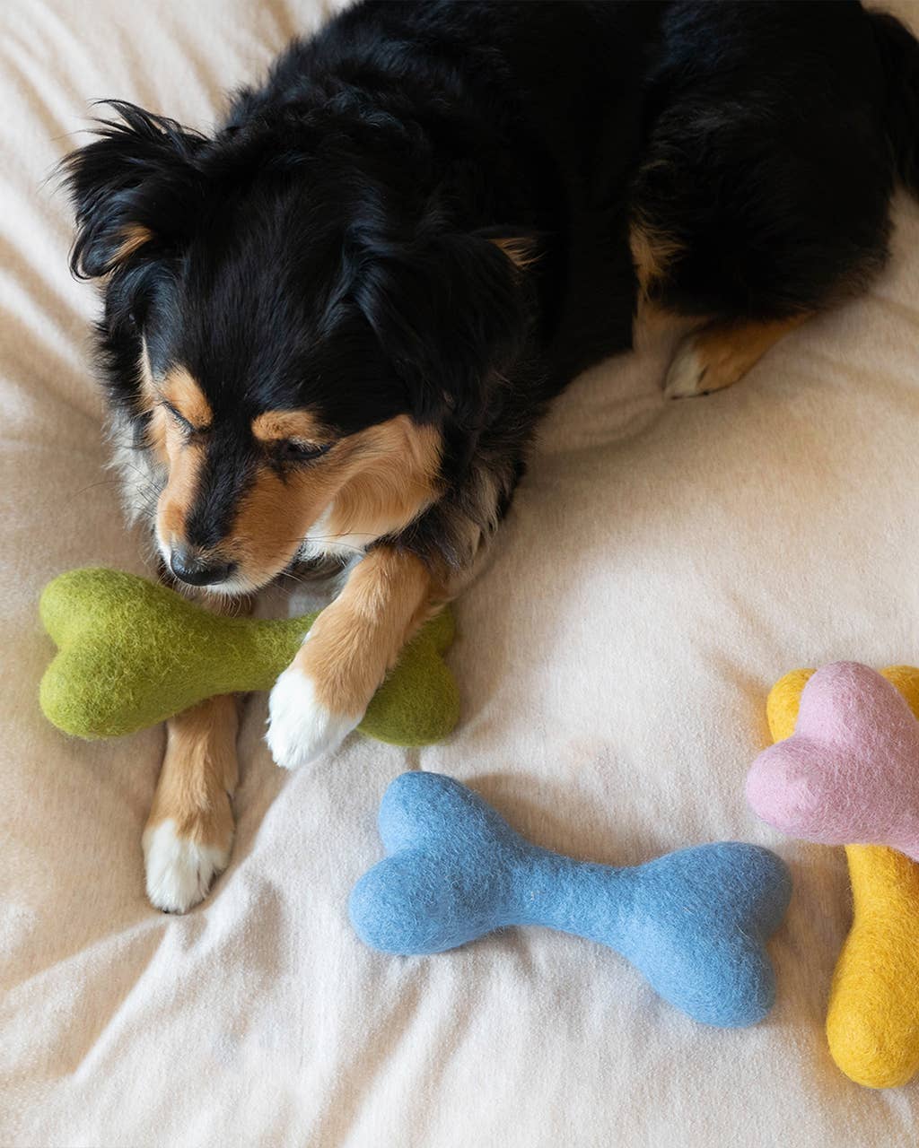 MB WOOLBONE Wool Dog Toy: Mulberry / L