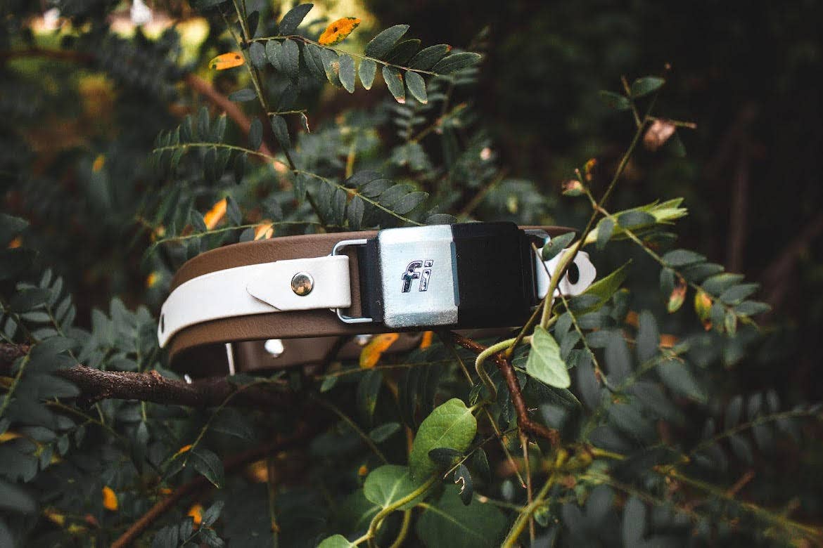 Fi Compatible Collar: 3/4"