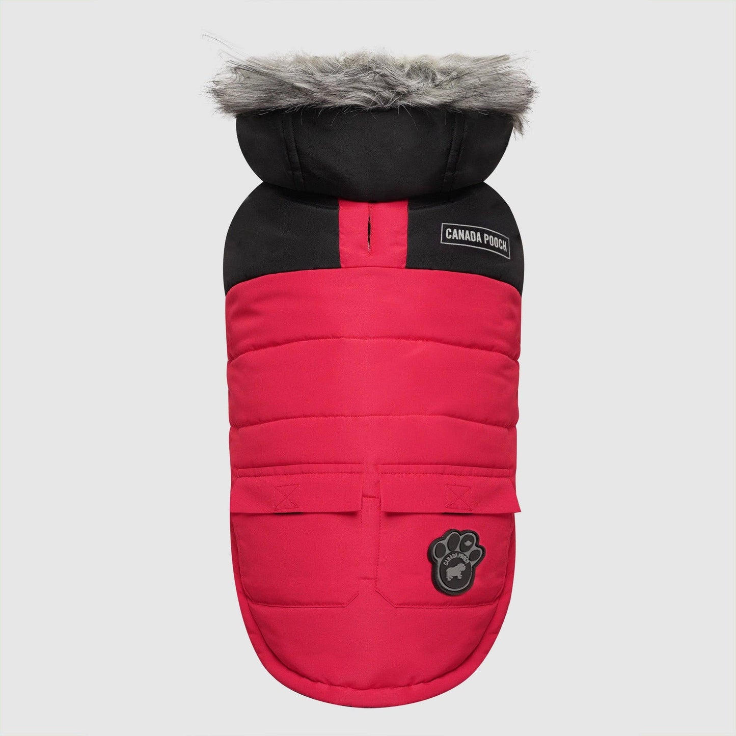 True North Dog Parka: Yellow / 20+