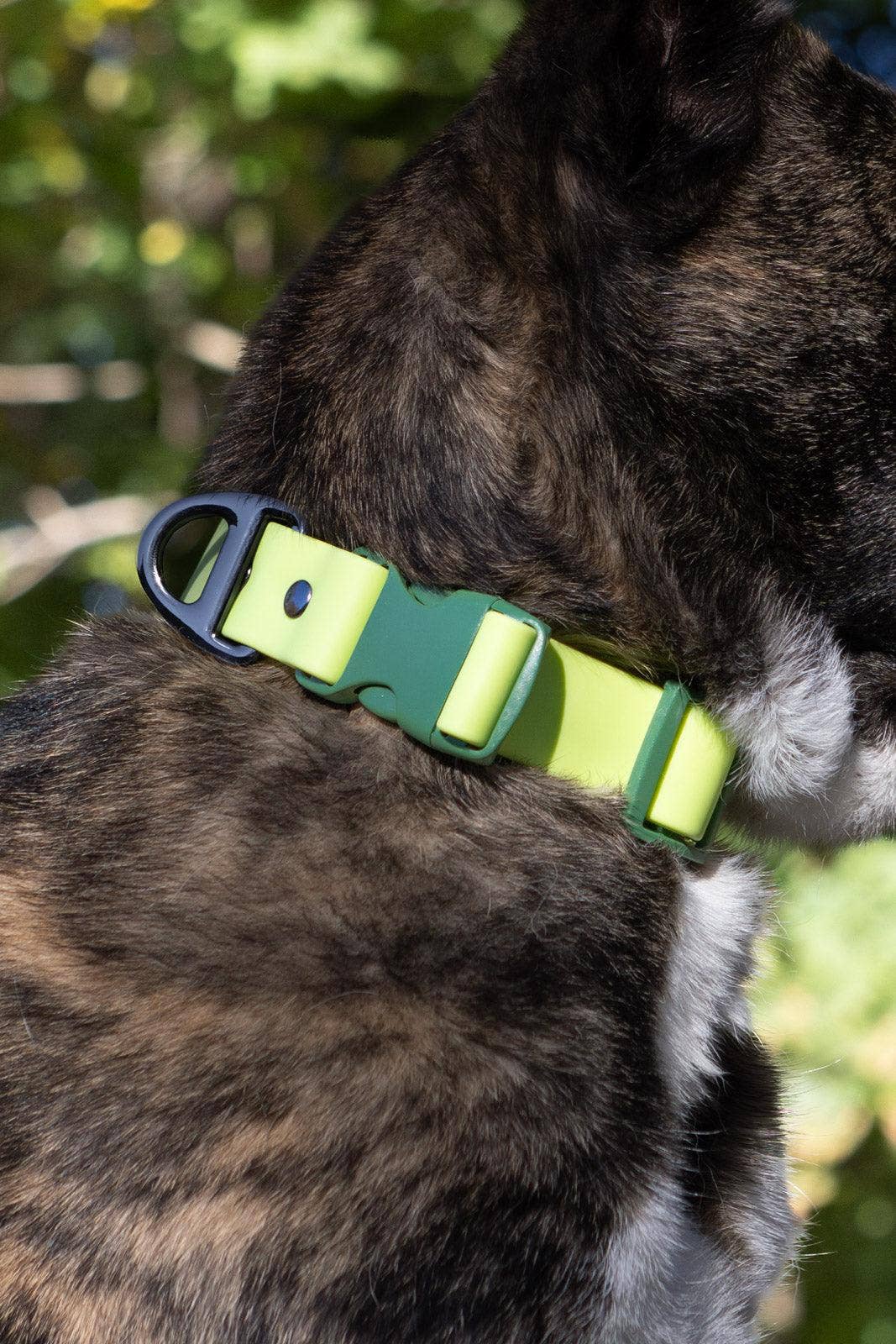 Mossy Pine Waterproof Dog Collar: Chartreuse / Willow Green / 17 - 20
