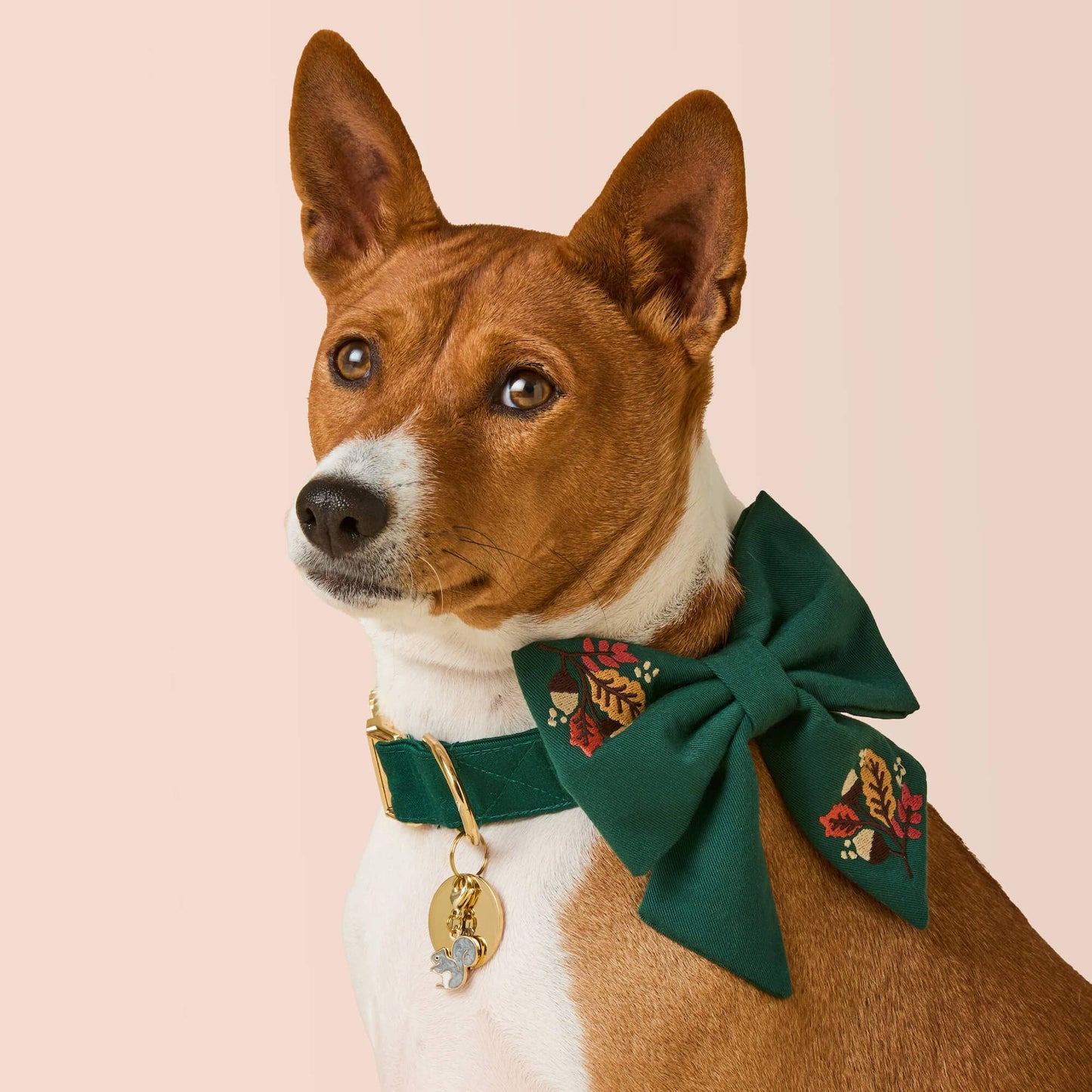 Fall Foliage Embroidered Lady Dog Bow