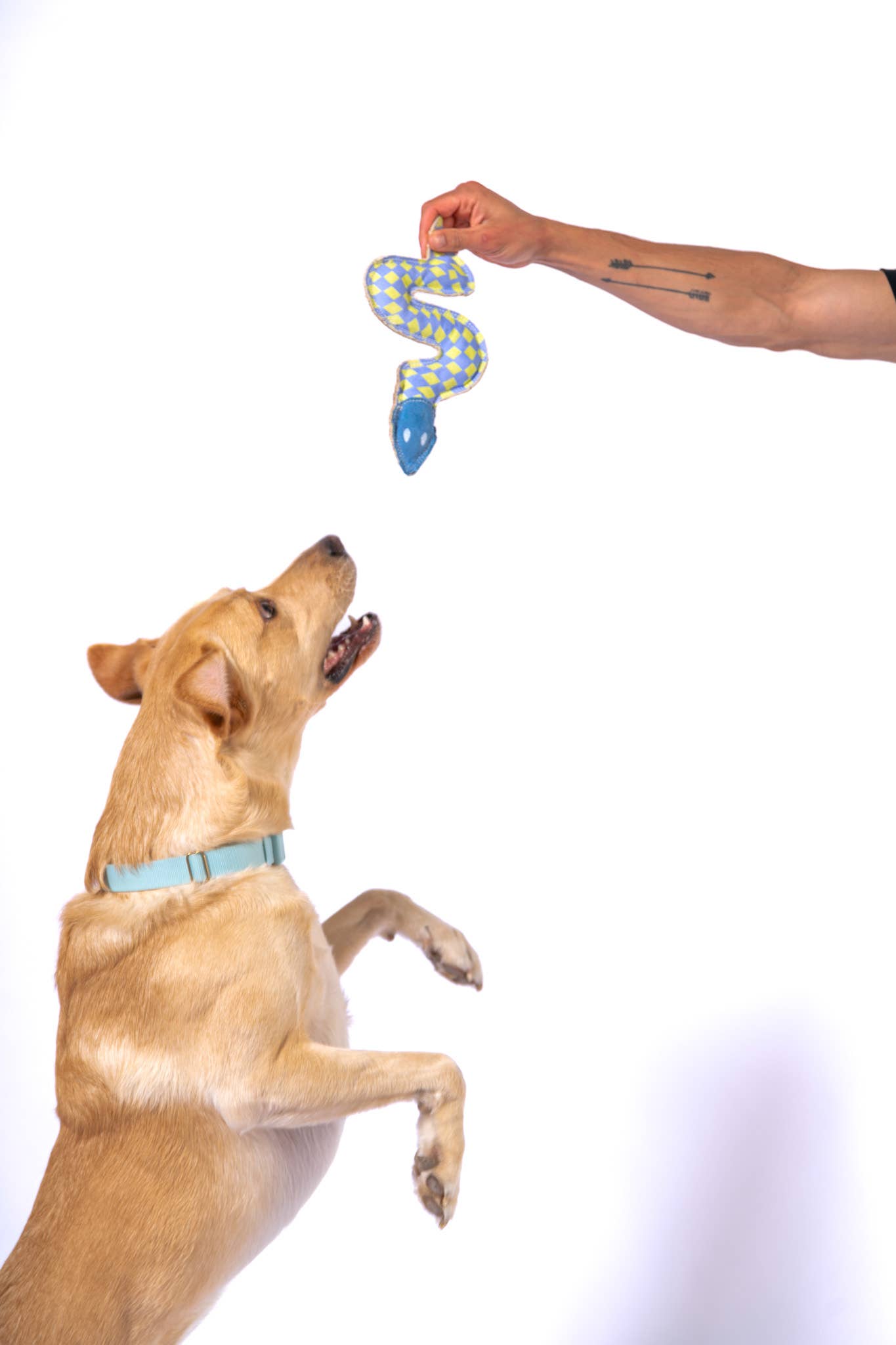 Canvas Sidewinder Toy - Casepack