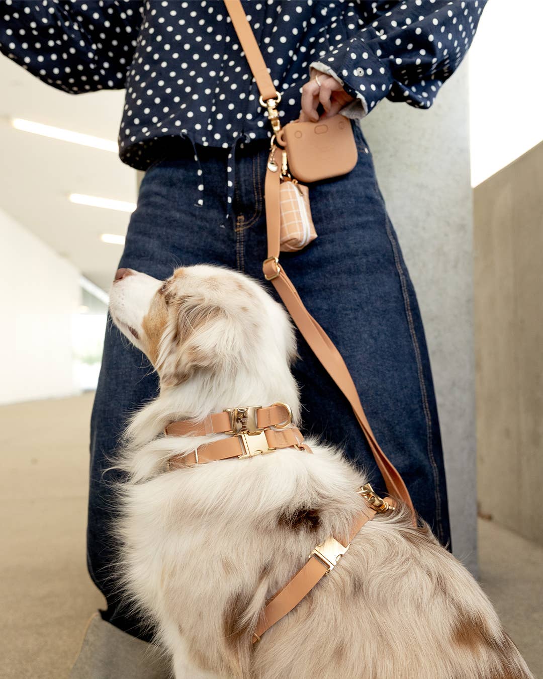 Chai Brown Cloud Lite Dog Harness