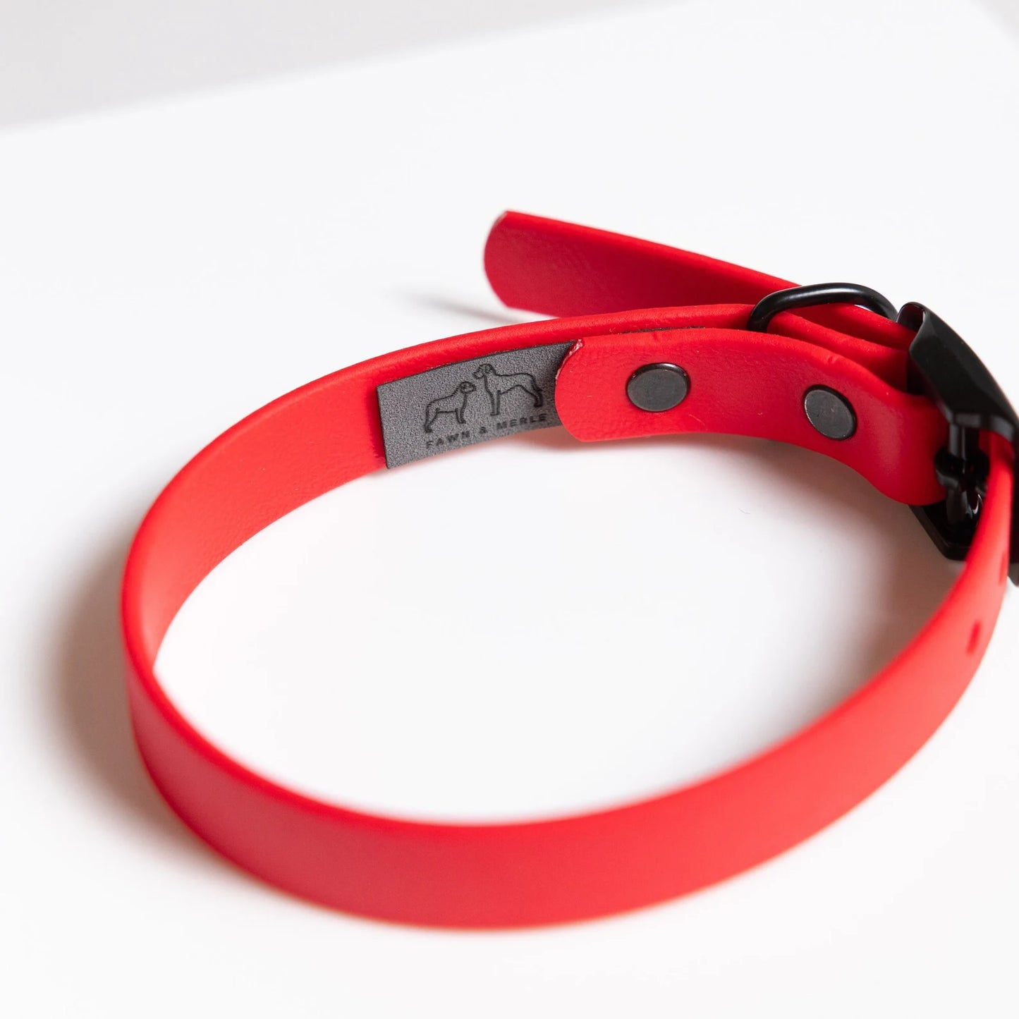 Smol 5/8" Classic Collar