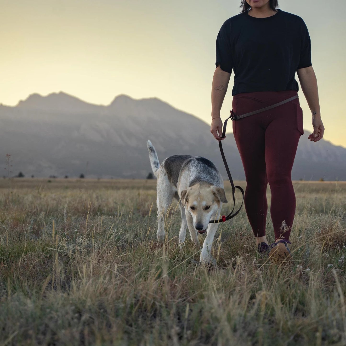 Fawn and Merle Hands-free Leash 6 ft